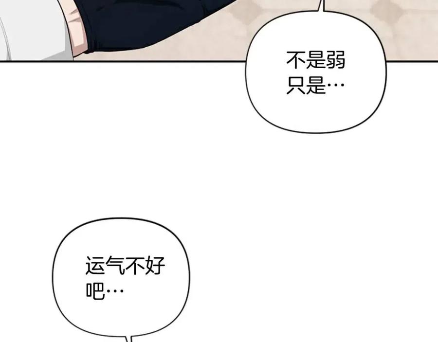 第38话 美丽狮鹫(1/3)-第38话