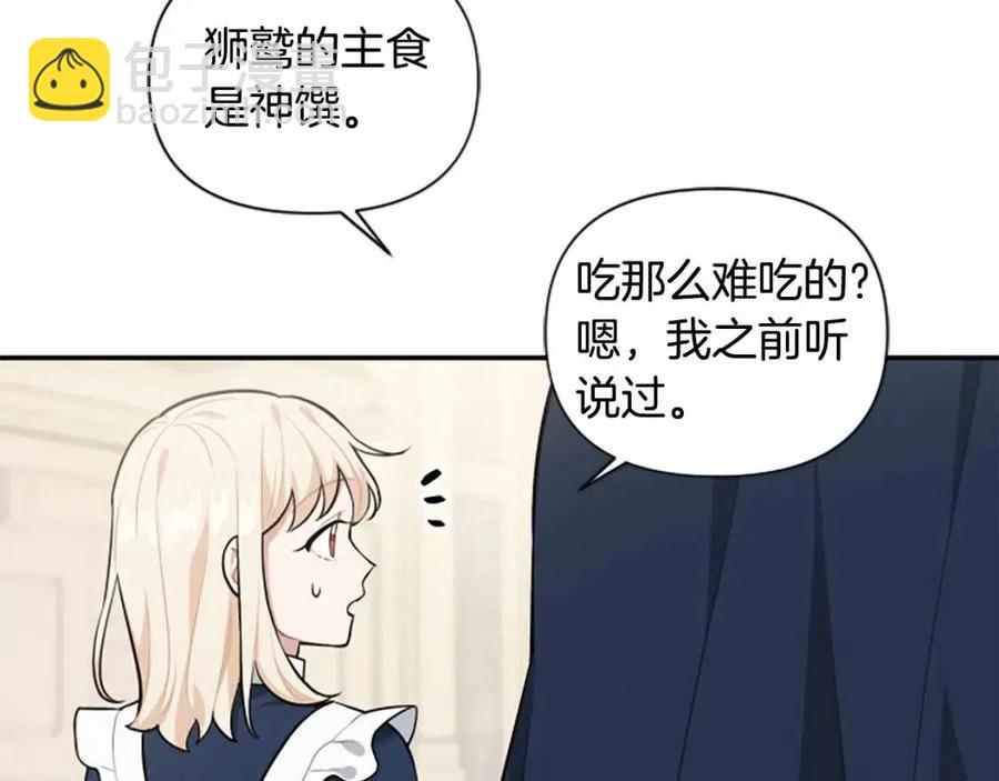 第38话 美丽狮鹫(1/3)-第38话