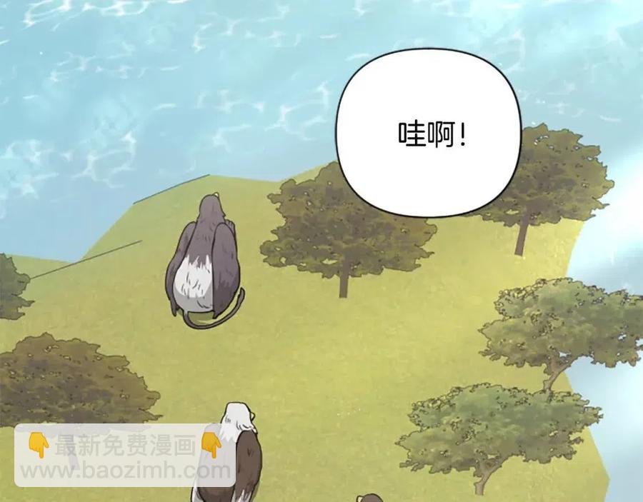 第38话 美丽狮鹫(1/3)-第38话