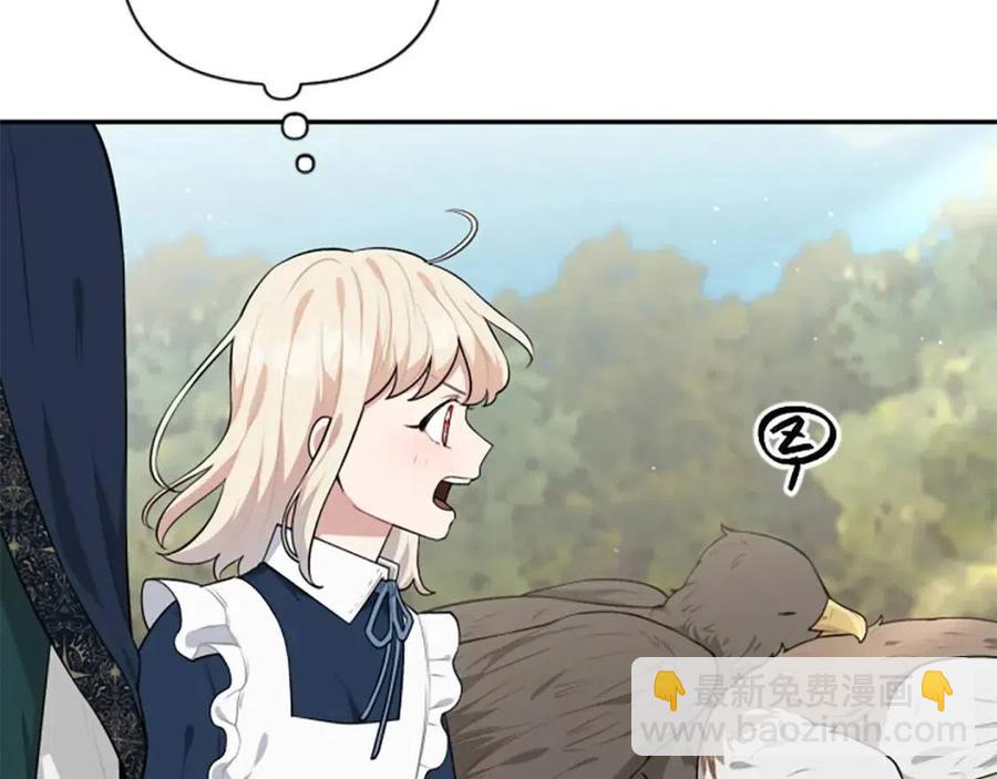 第38话 美丽狮鹫(1/3)-第38话