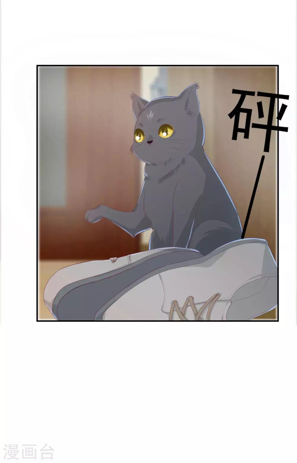 第2话(1/2)-第2话