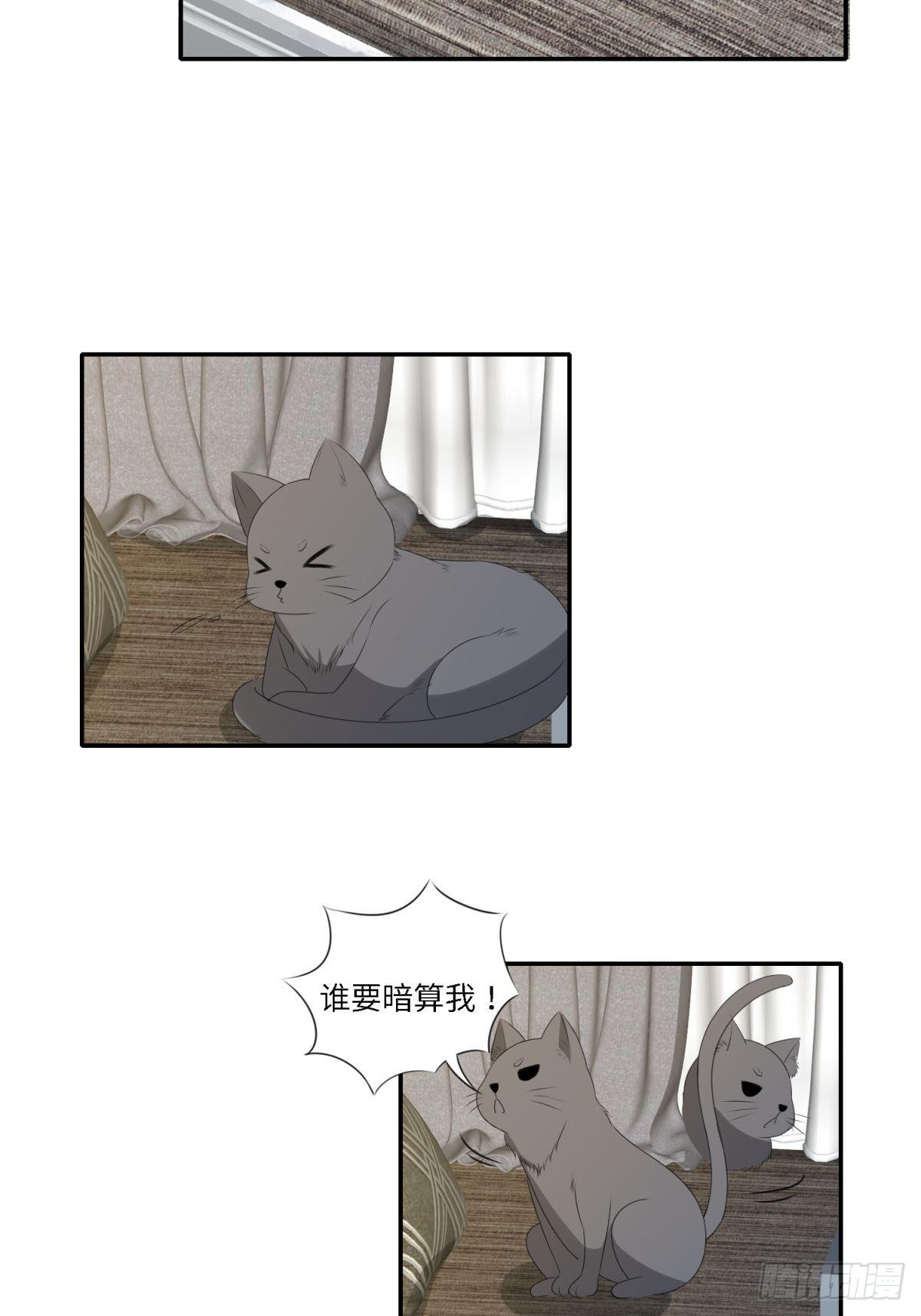 我们只是合作-第28话