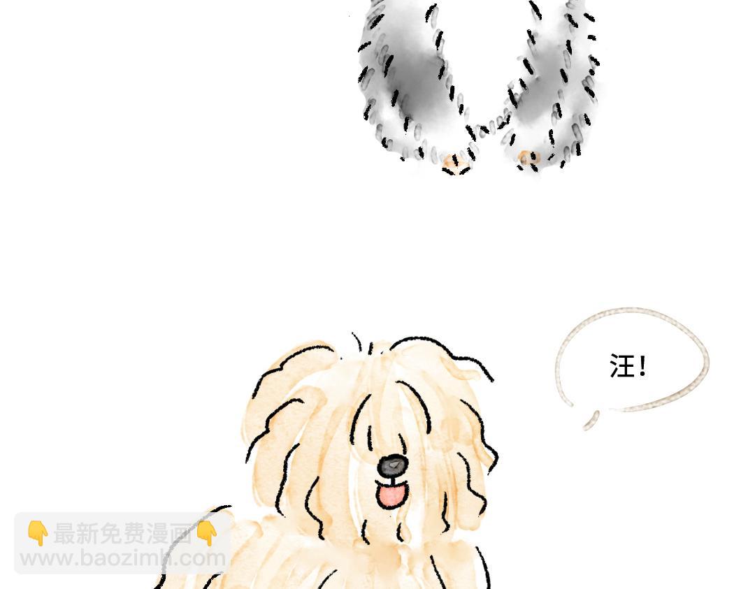 你知道什么叫斑秃吗-第24话