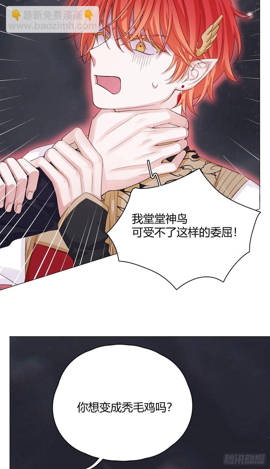 第49话 结婚-第52话