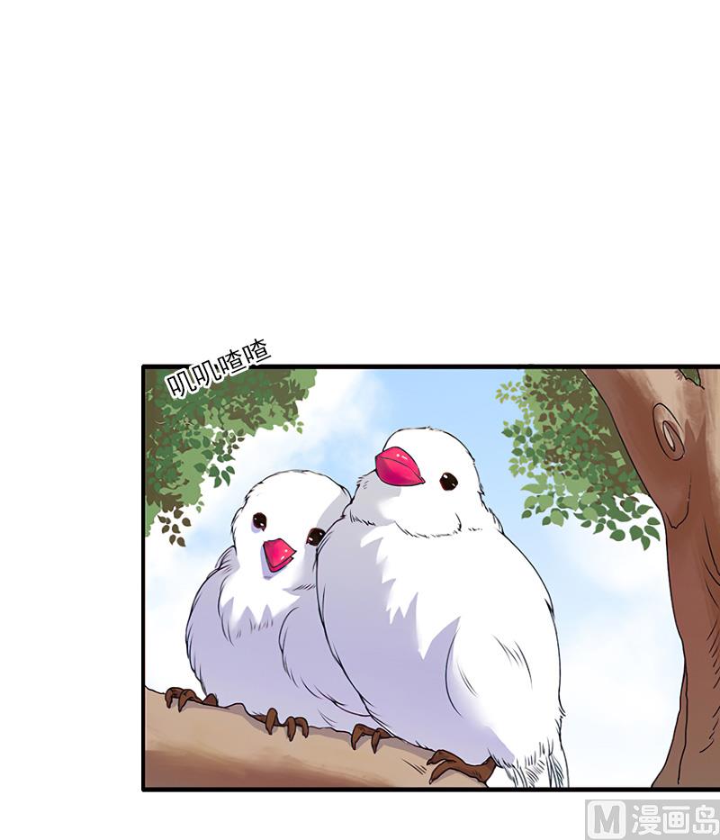 第38话 手术-第38话