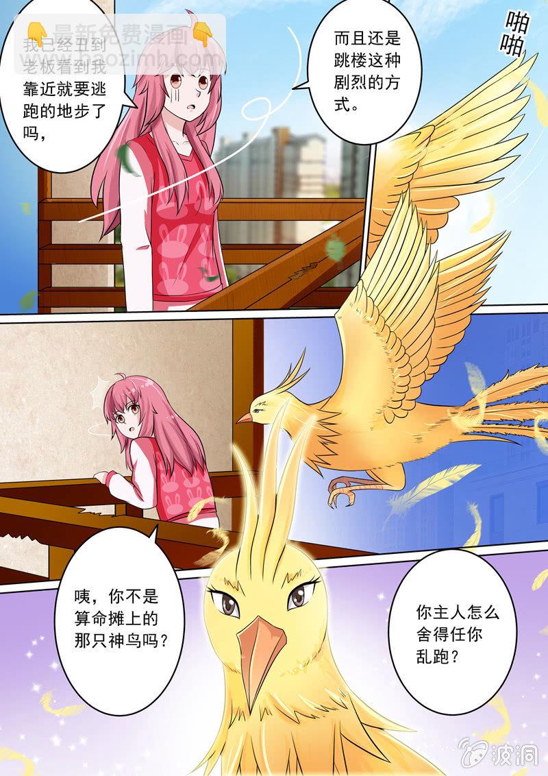 似曾相识的感觉-第30话