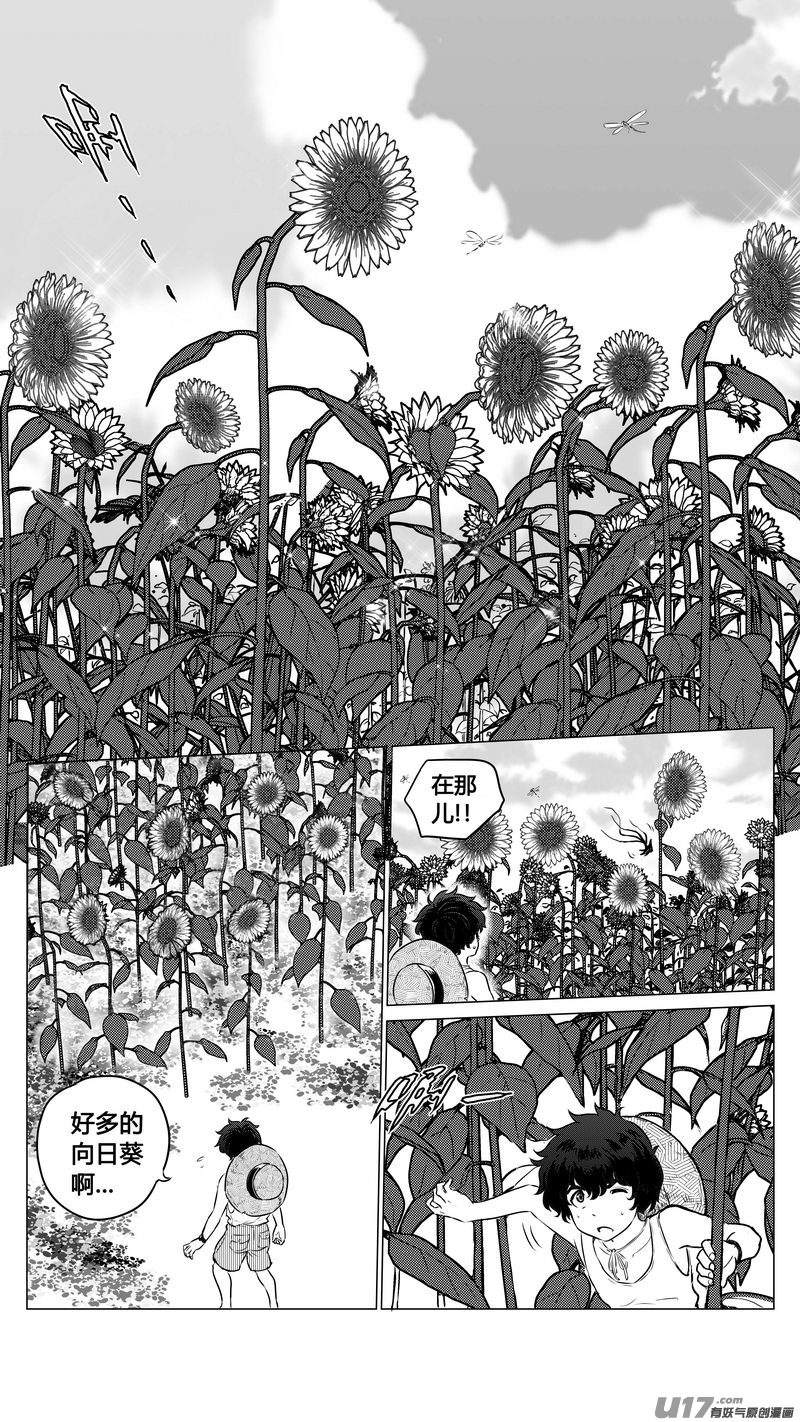 Ⅱ第二章《向日葵と稻草人》1-第88话