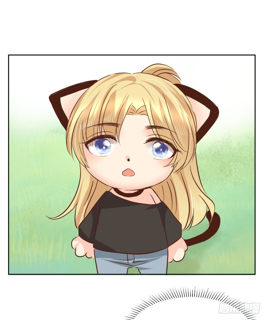 熊与小猫-第216话