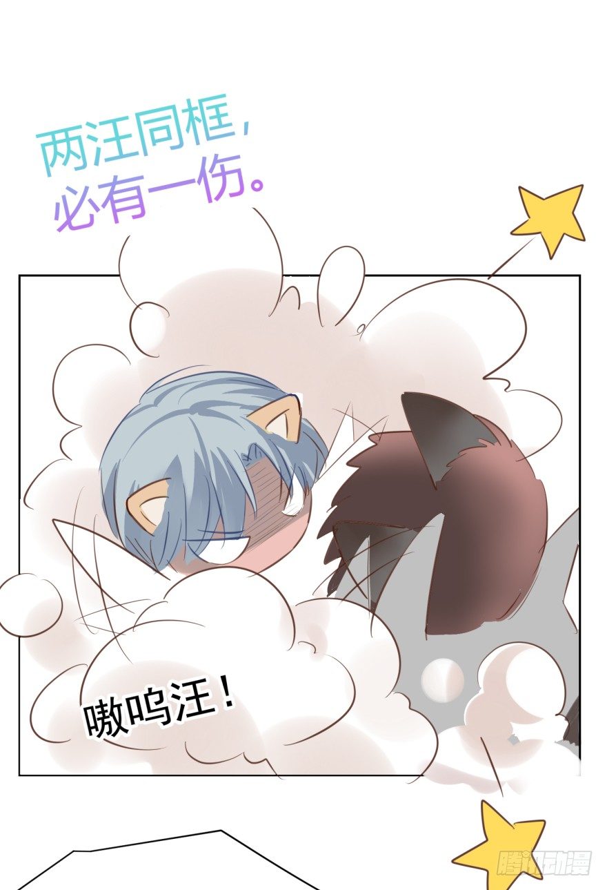 汪的失落-第222话