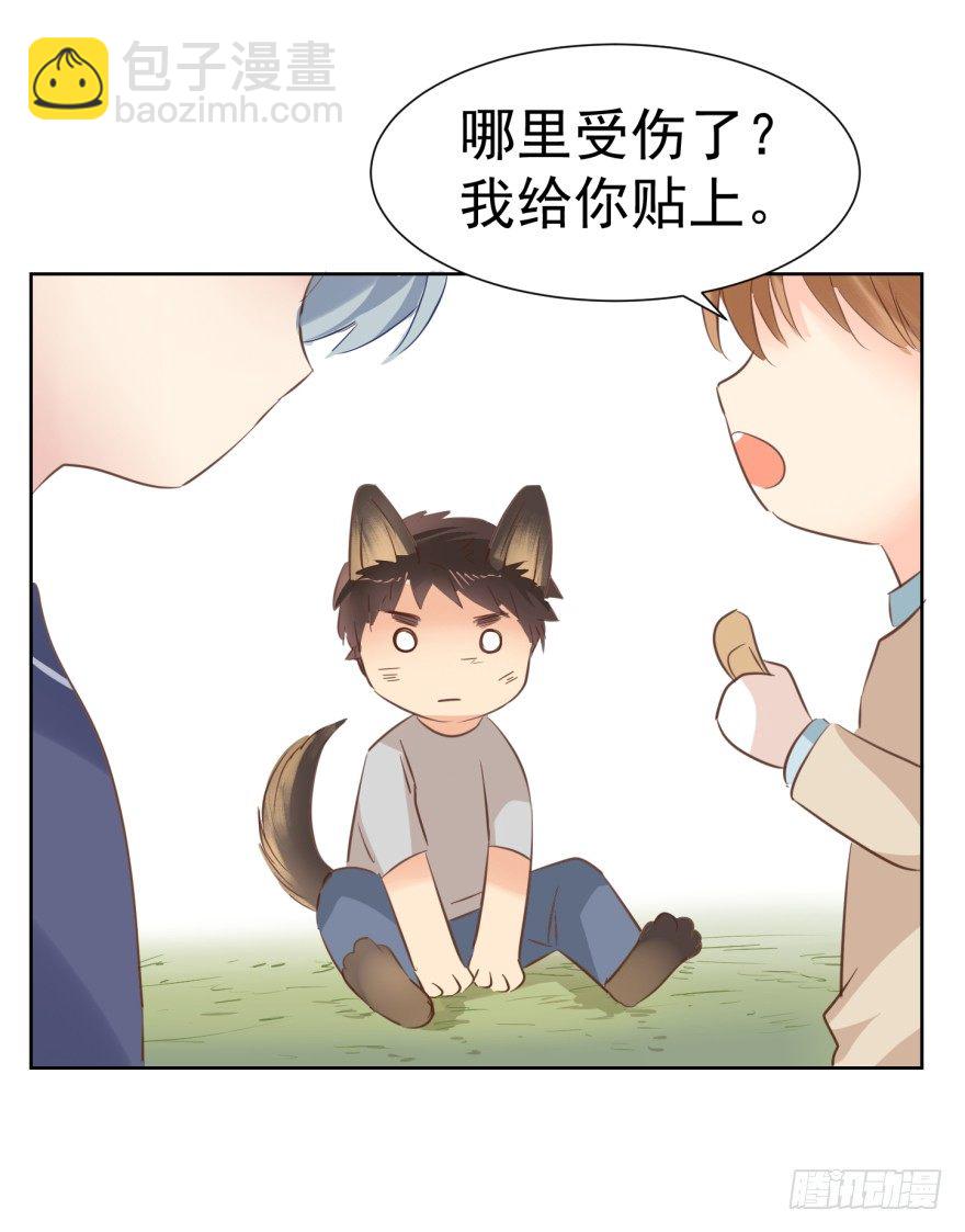 汪的失落-第222话