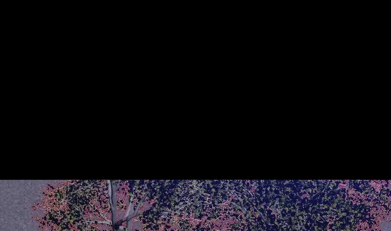 第148话 奶奶您去哪？(1/2)-第114话