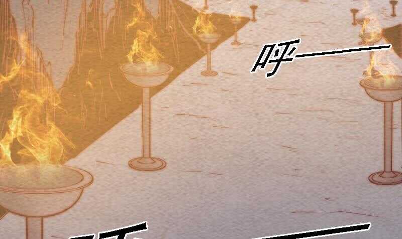 第170话 机会(1/2)-第166话