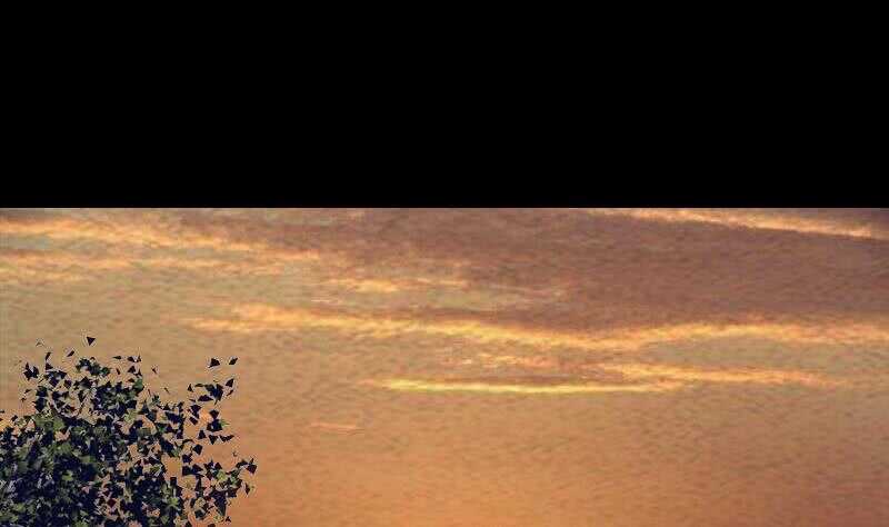 第180话 狼来了(1/2)-第176话