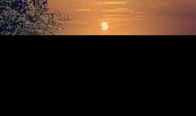 第180话 狼来了(1/2)-第176话