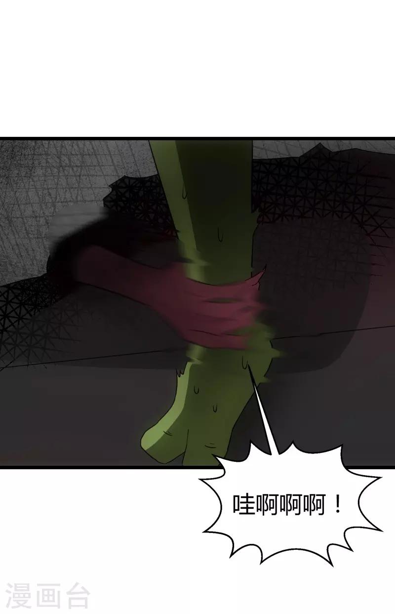 第48话 战霄的秘密12