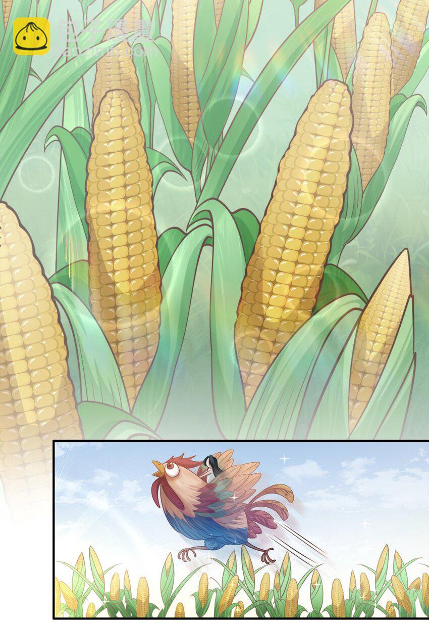 004餐 战斗鸡!(1/2)-第4话