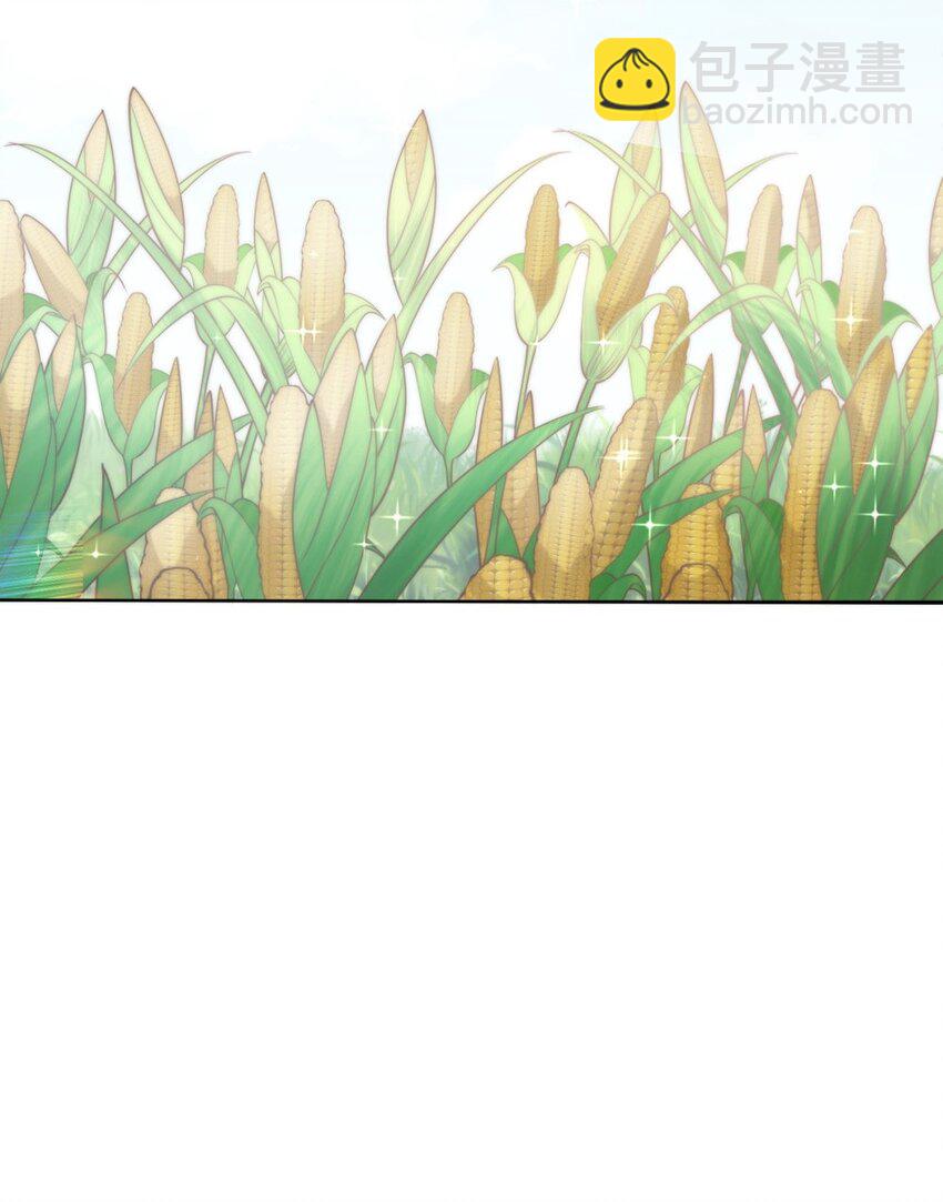 004餐 战斗鸡!(1/2)-第4话