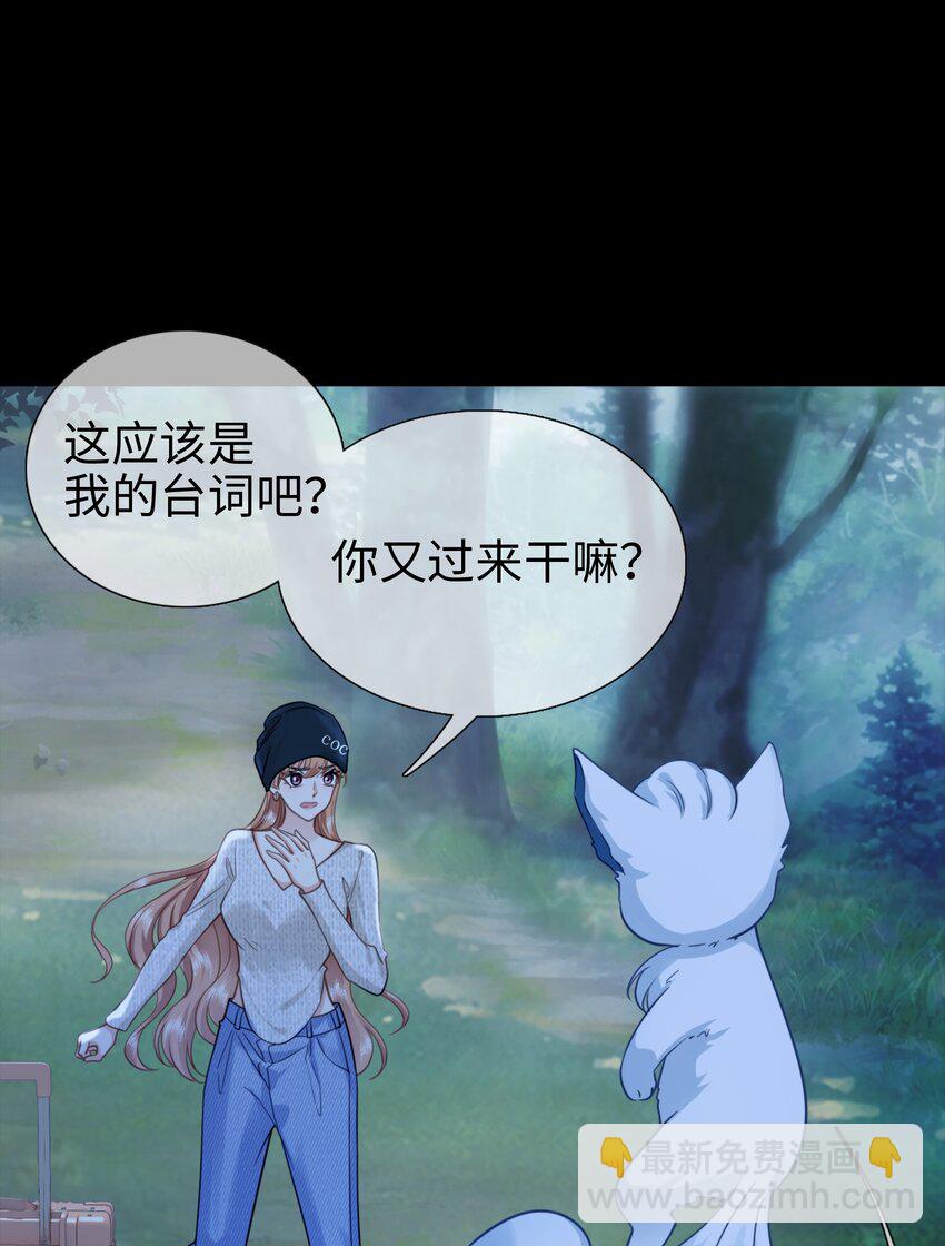 004餐 战斗鸡!(1/2)-第4话