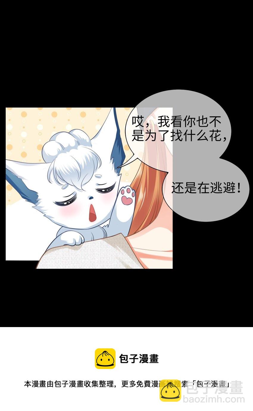 004餐 战斗鸡!(1/2)-第4话