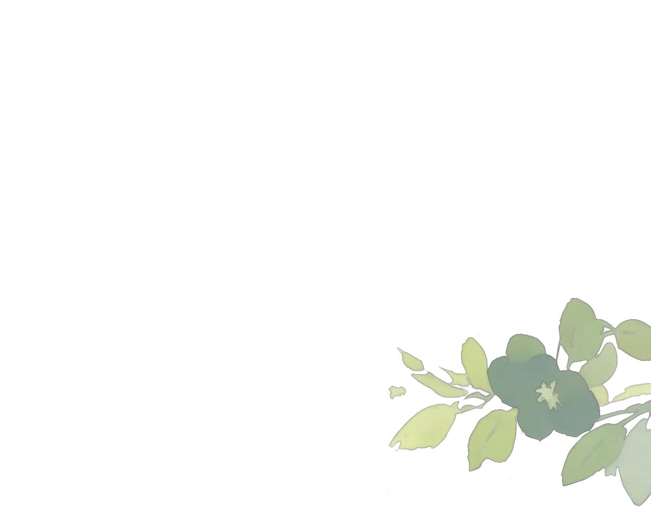 25话  回忆（1）(1/2)-第28话