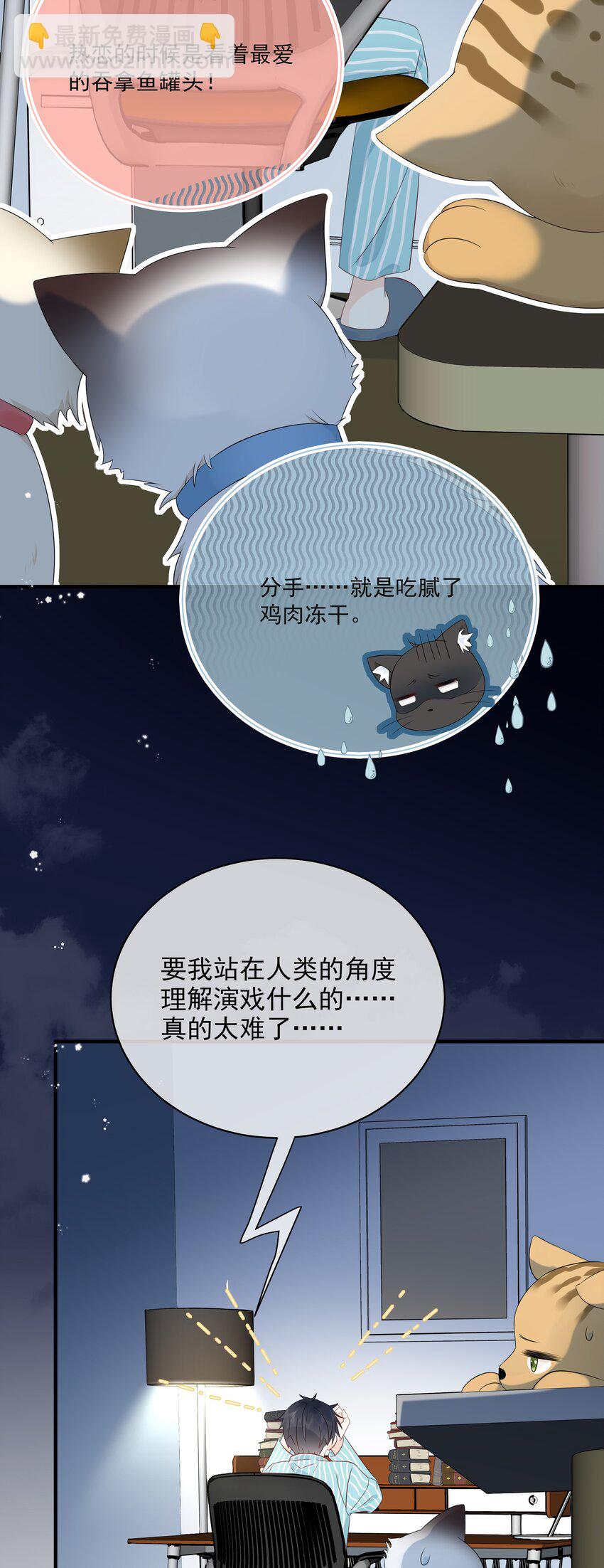 010 绿茶、跟我(1/2)-第12话