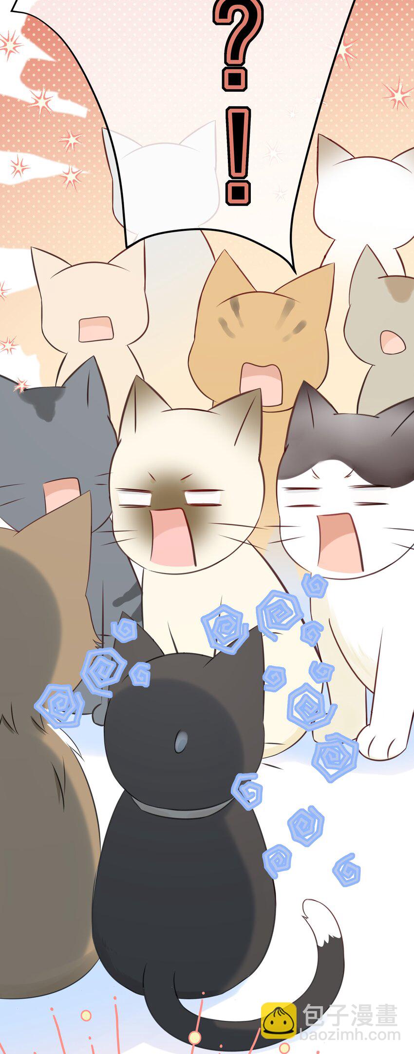 027 猫咪的圆桌会议-第30话