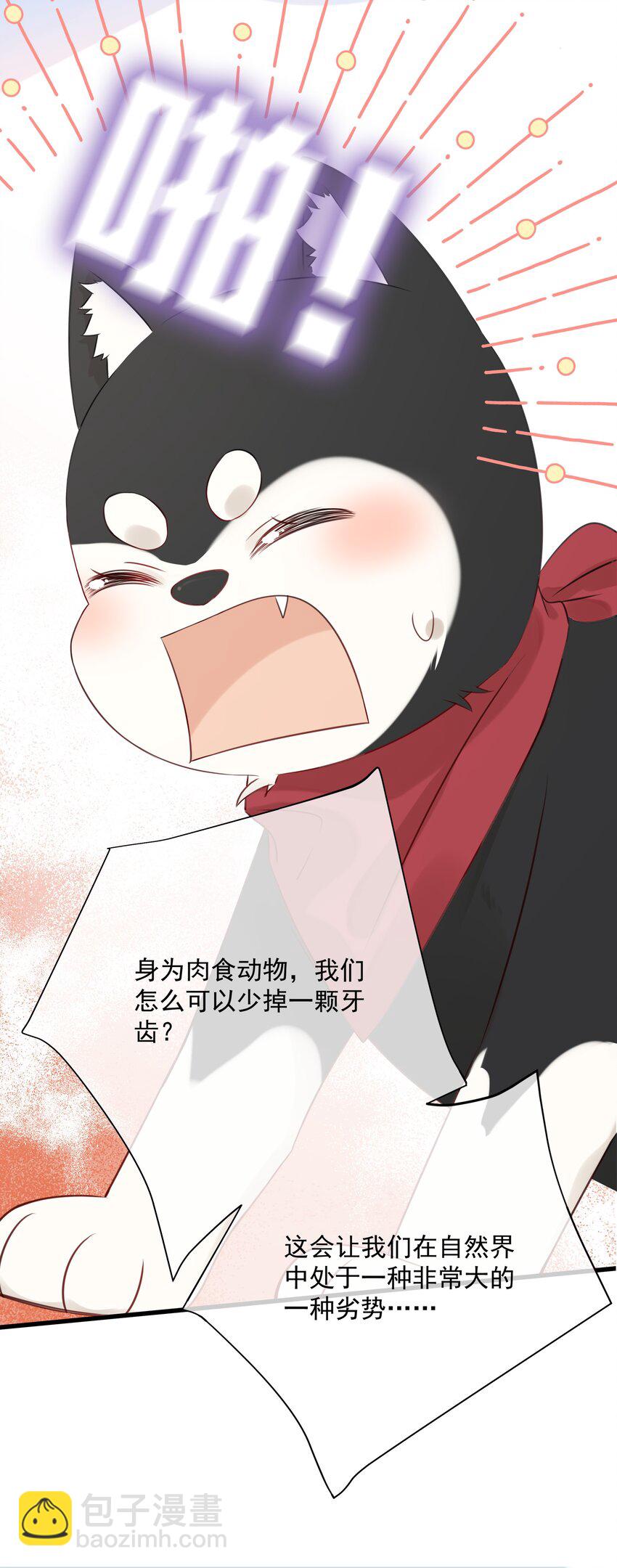 027 猫咪的圆桌会议-第30话