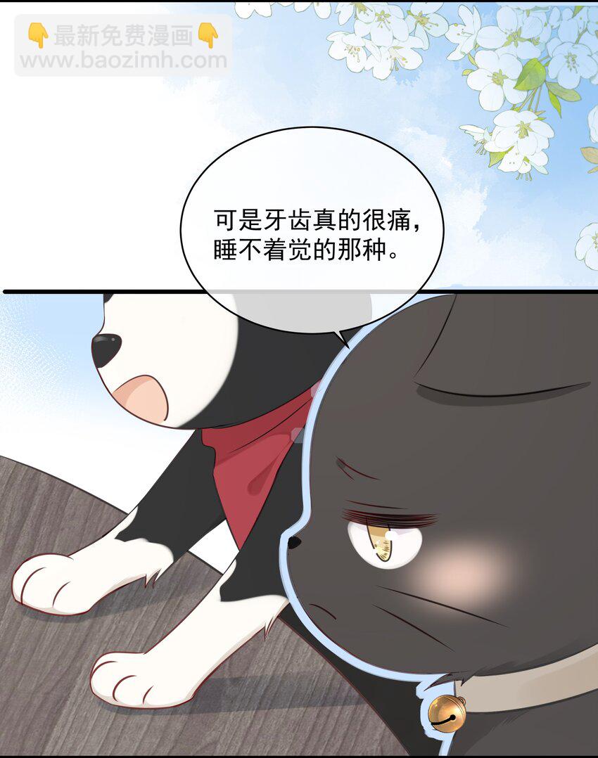 027 猫咪的圆桌会议-第30话