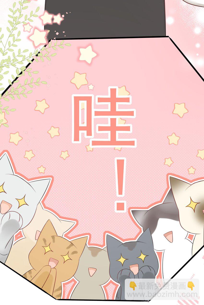 027 猫咪的圆桌会议-第30话