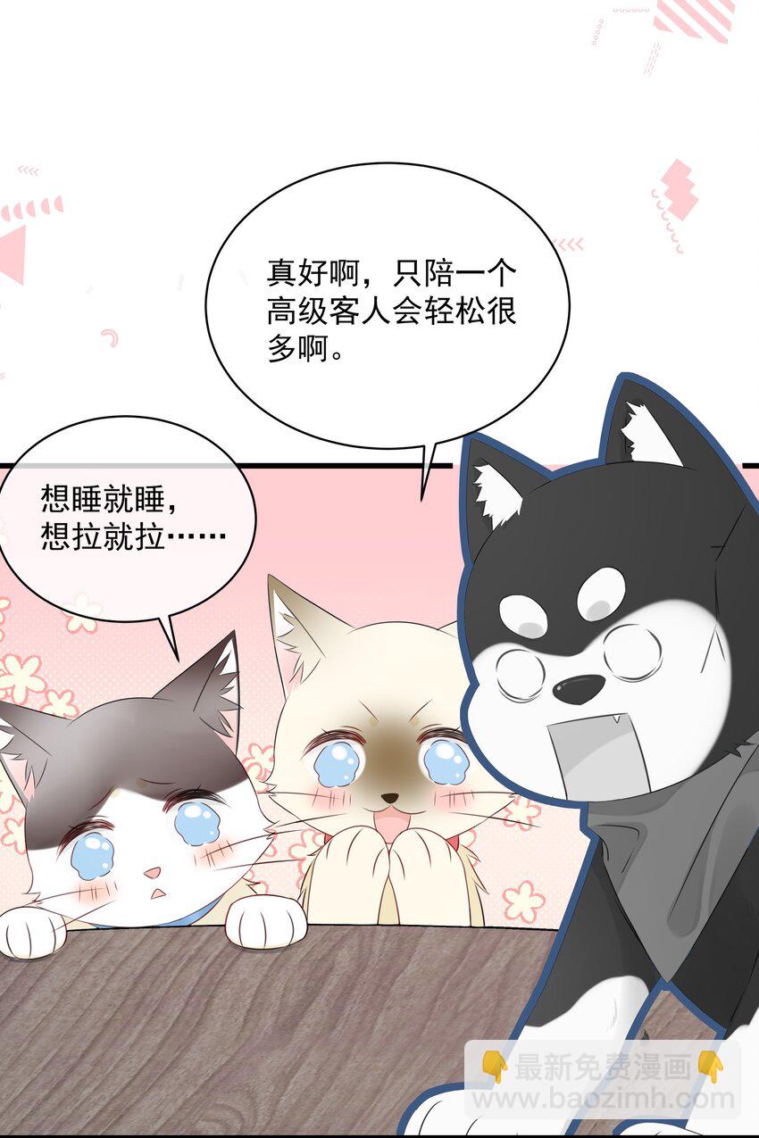 027 猫咪的圆桌会议-第30话