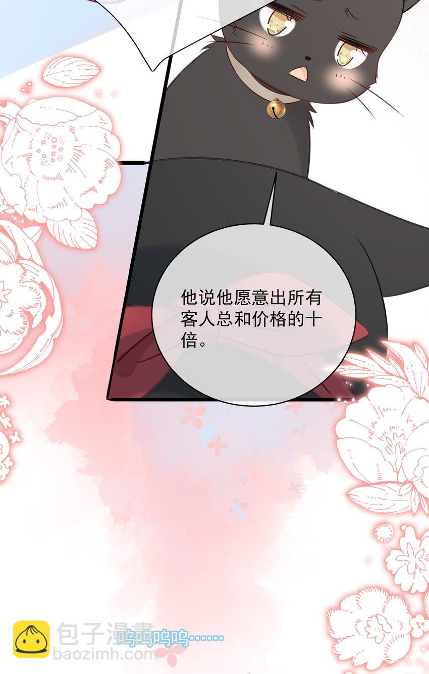 027 猫咪的圆桌会议-第30话