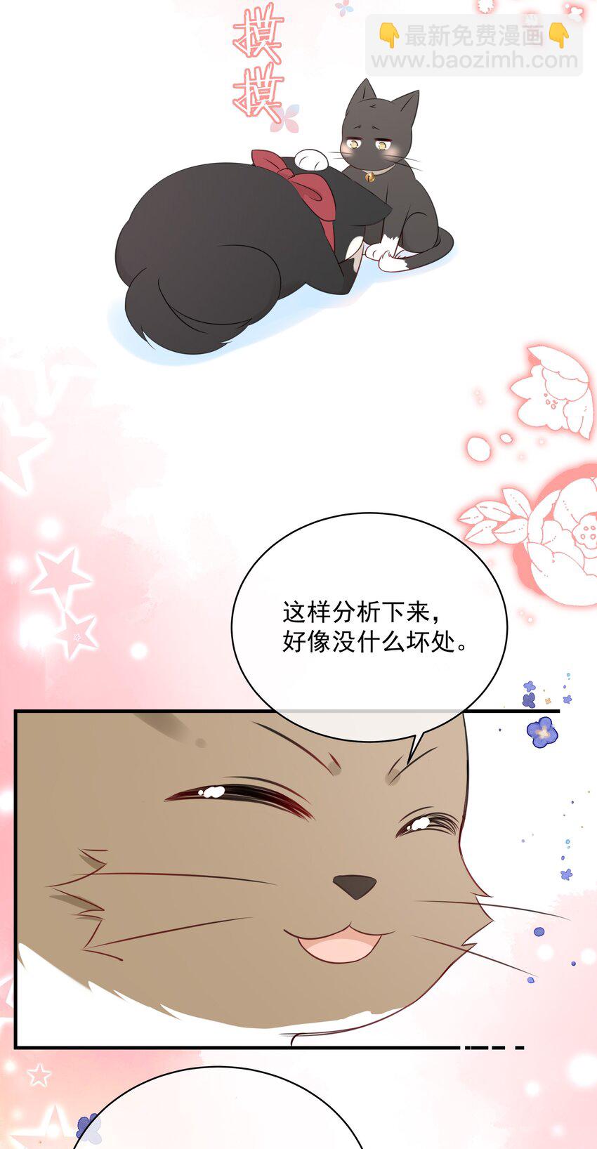 027 猫咪的圆桌会议-第30话