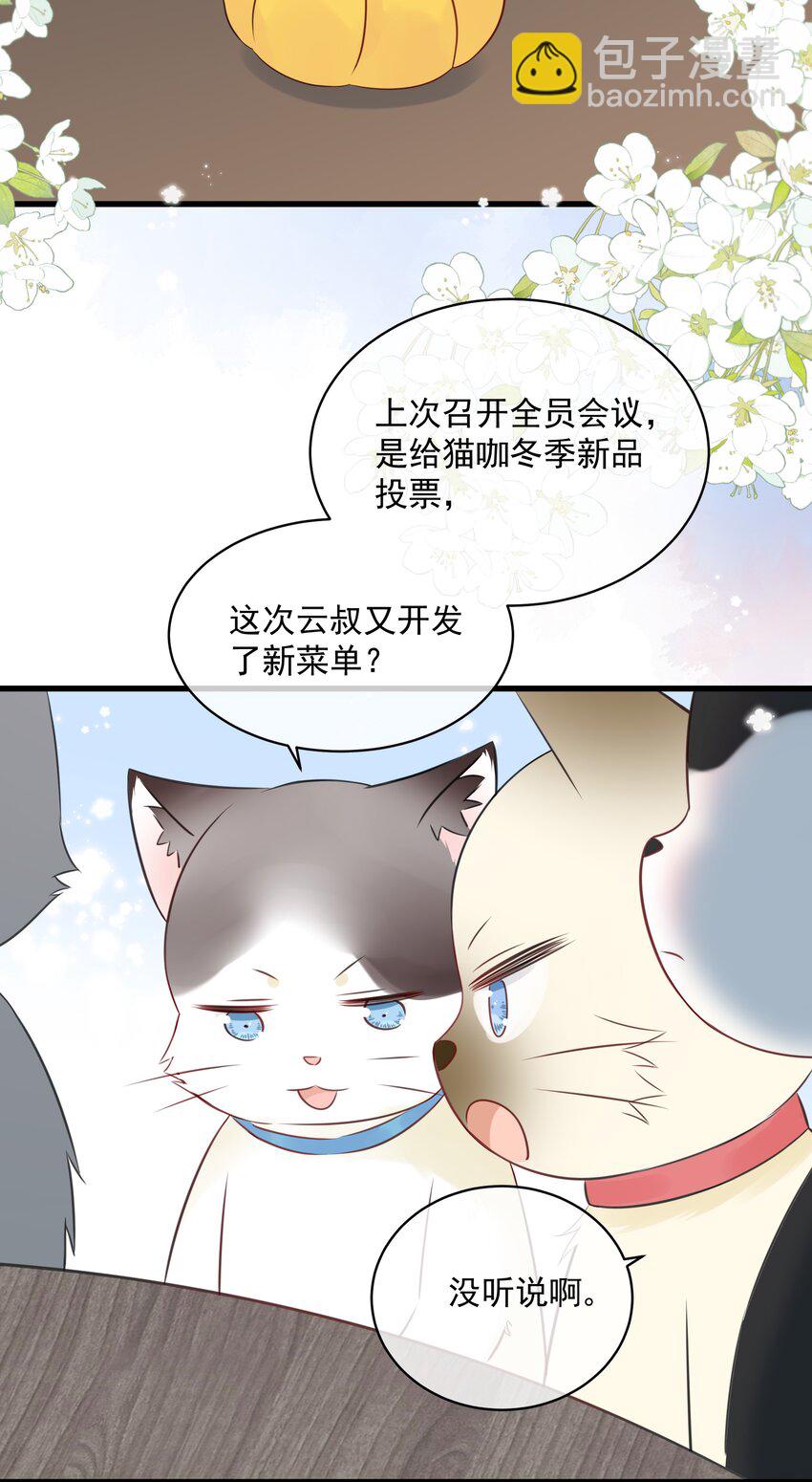 027 猫咪的圆桌会议-第30话