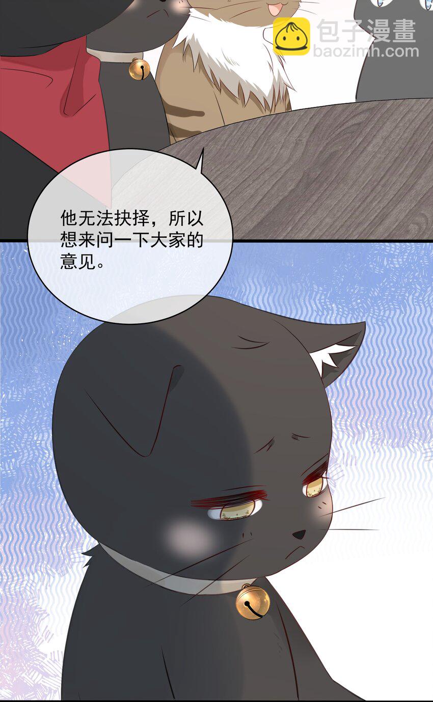 027 猫咪的圆桌会议-第30话