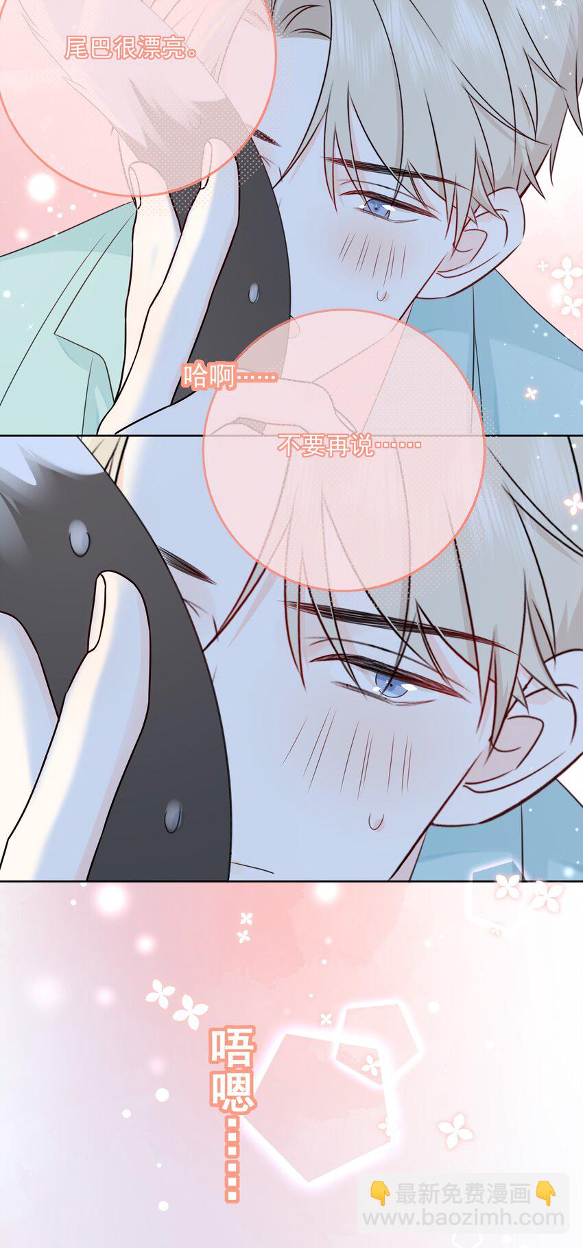 054 我有猫了，也有主了-第58话