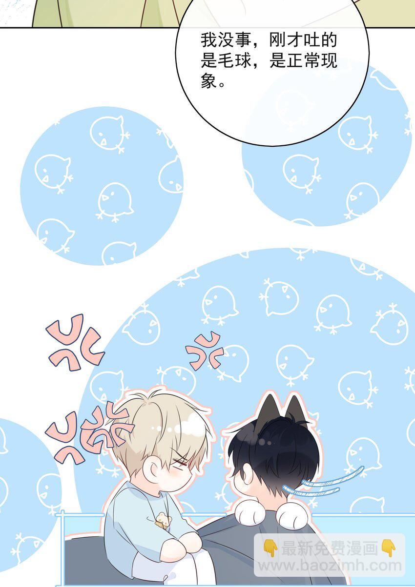 番外1 养猫轶事(1/2)-第60话