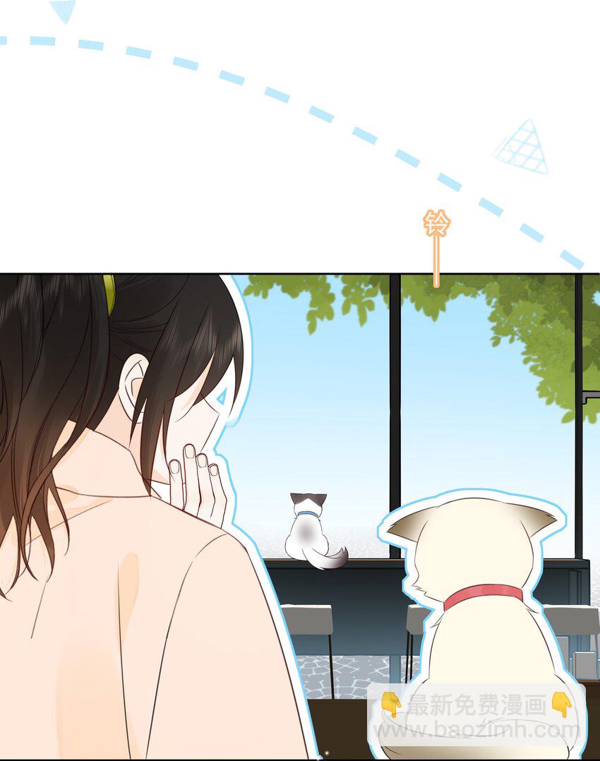 番外1 养猫轶事(1/2)-第60话