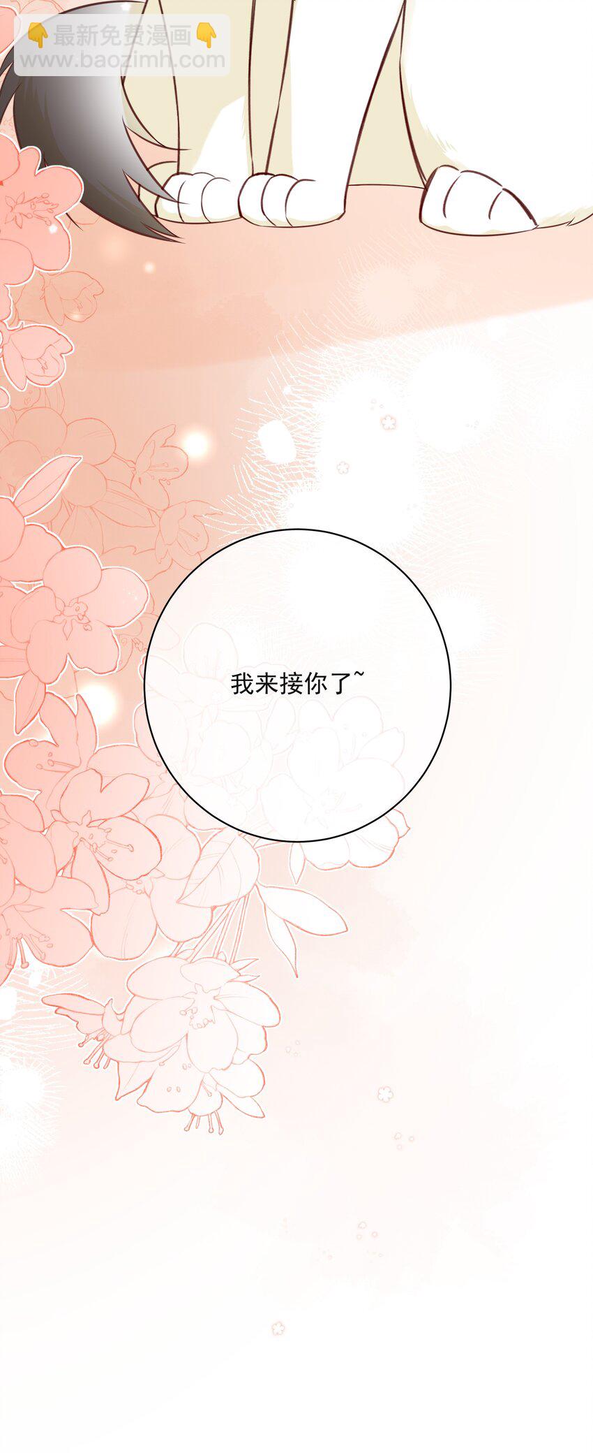 番外1 养猫轶事(1/2)-第60话