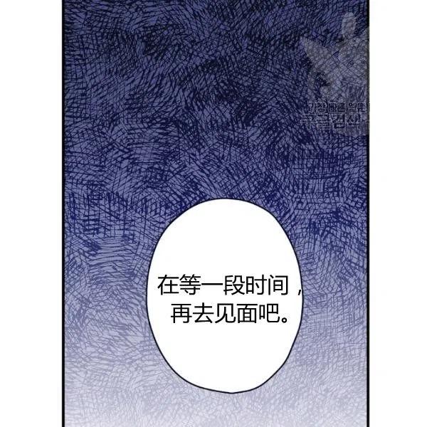 影子皇妃 - 第47話 有志者，事竟成(1/4) - 4