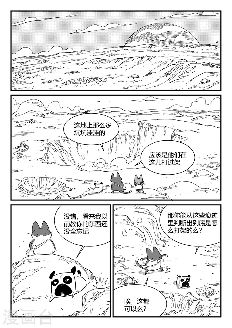 影子貓 - 第315話 分頭行動 - 1