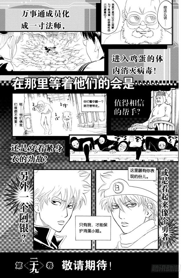 銀魂 - 第246話 常能守株待兔 - 3