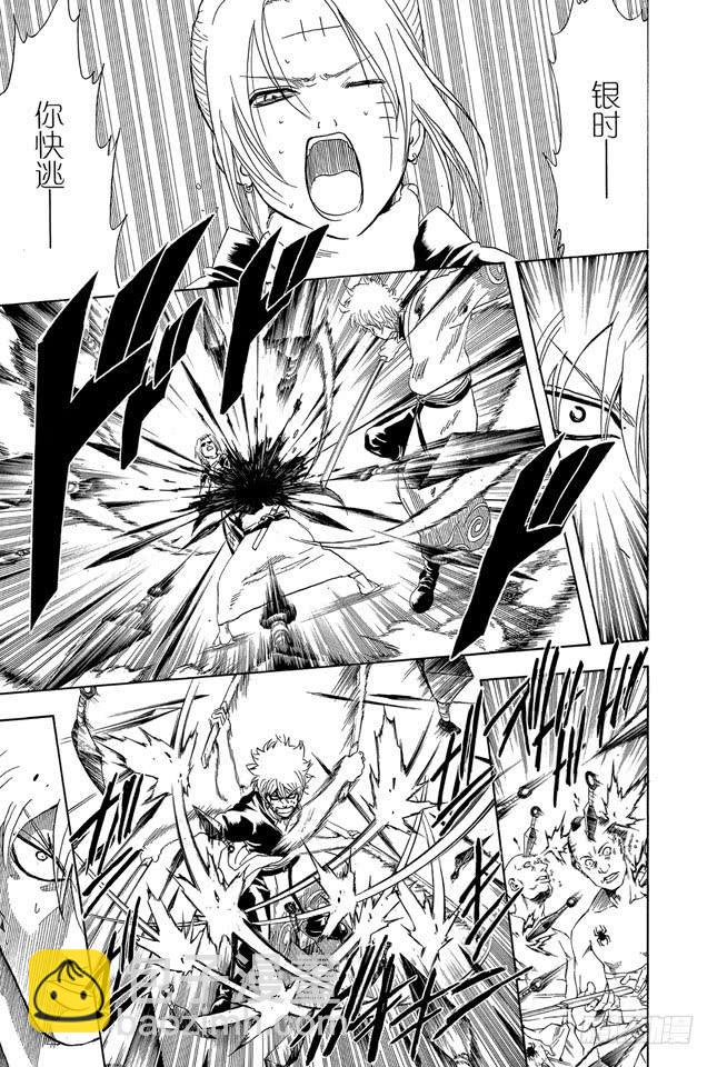 銀魂 - 第256話 美女三分鐘就會看膩，醜女卻永恆不朽 - 4