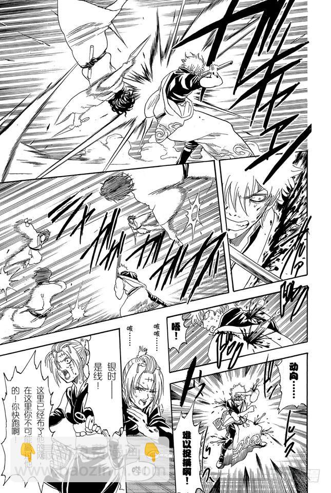 銀魂 - 第256話 美女三分鐘就會看膩，醜女卻永恆不朽 - 6