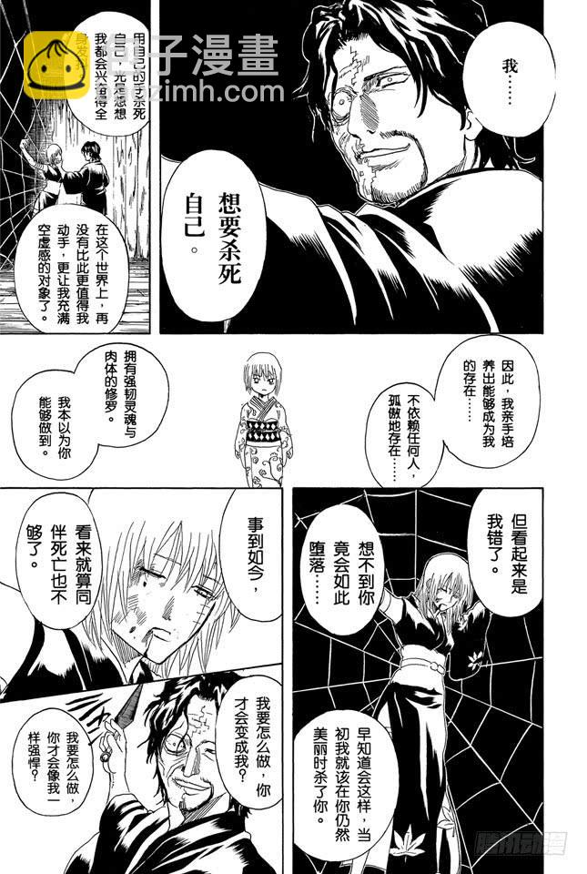 銀魂 - 第258話 師父不是先行這，而是隨行者 - 2