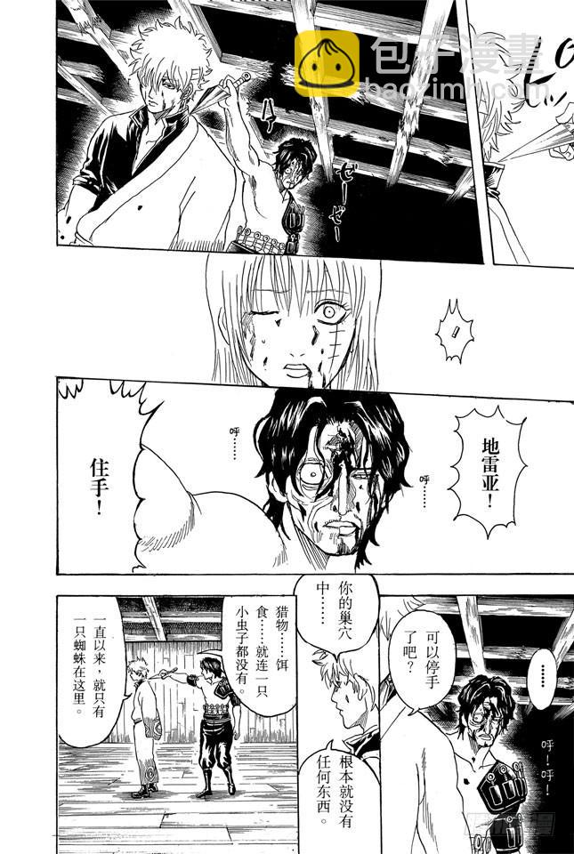 銀魂 - 第260話 越是重要的東西，就越是沉重得難以揹負 - 4