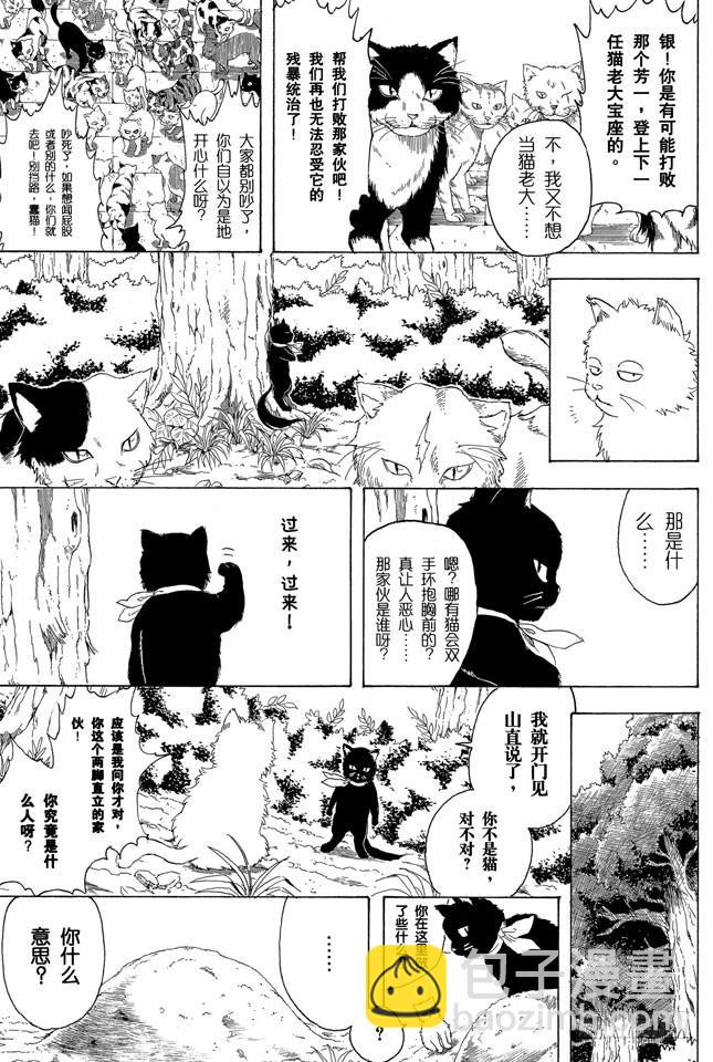 銀魂 - 第275話 找東西的時候應該站在對方的立場，設身處地地找 - 3