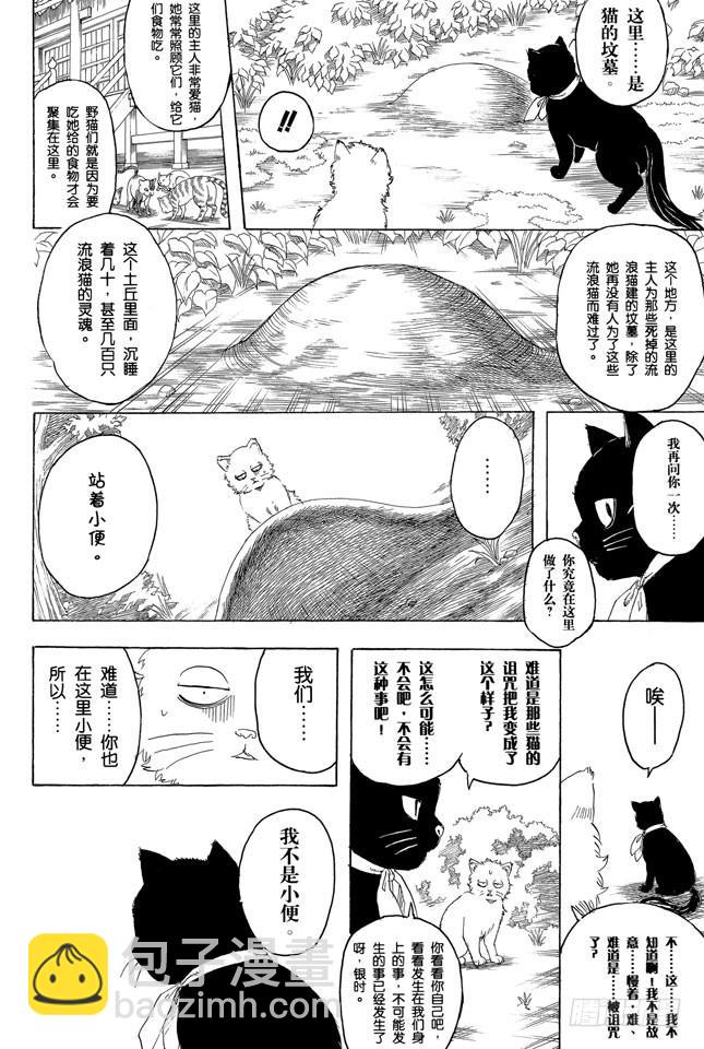 銀魂 - 第275話 找東西的時候應該站在對方的立場，設身處地地找 - 4