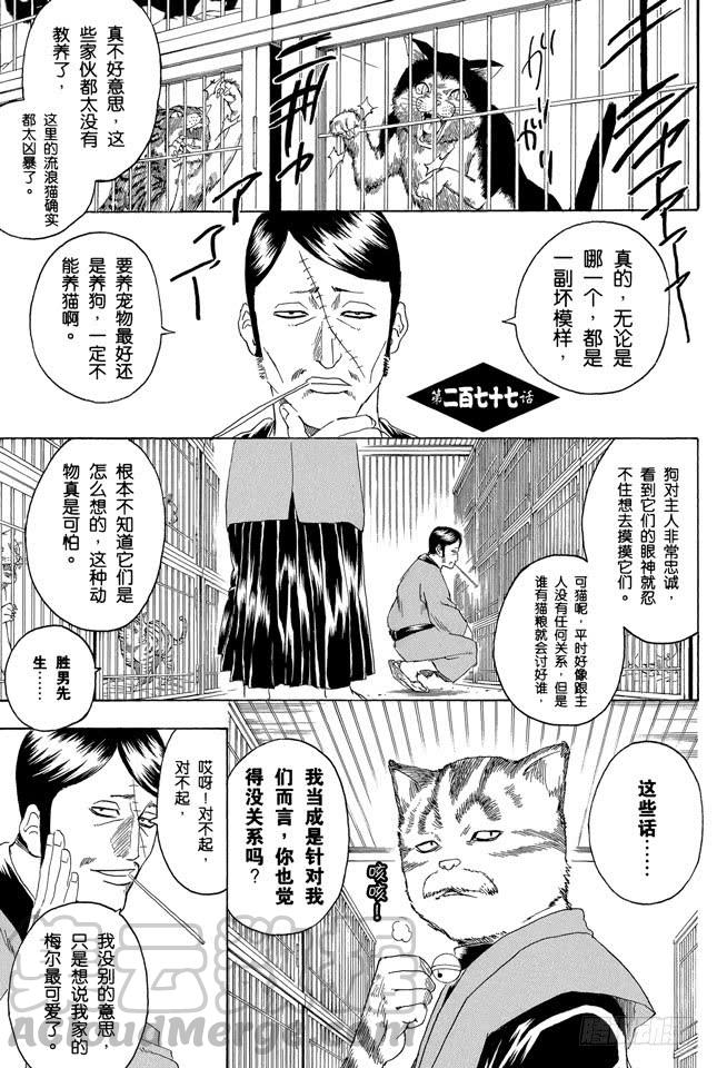 银魂 - 第277话 所谓自由并不是无法无天，而是按照自己的规矩去做 - 1