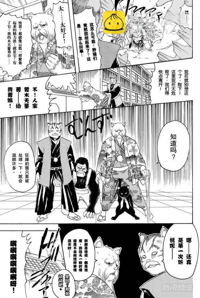 銀魂 - 第279話 野貓哀歌 - 3