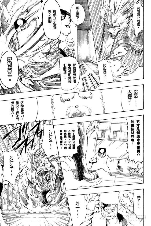 銀魂 - 第279話 野貓哀歌 - 3